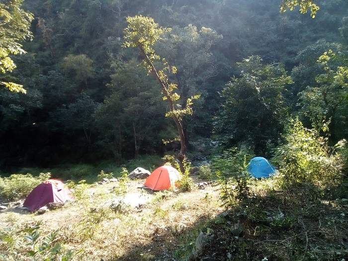 Shri Durga Aushadheey Vatika Volunteer Stay in Rishikesh