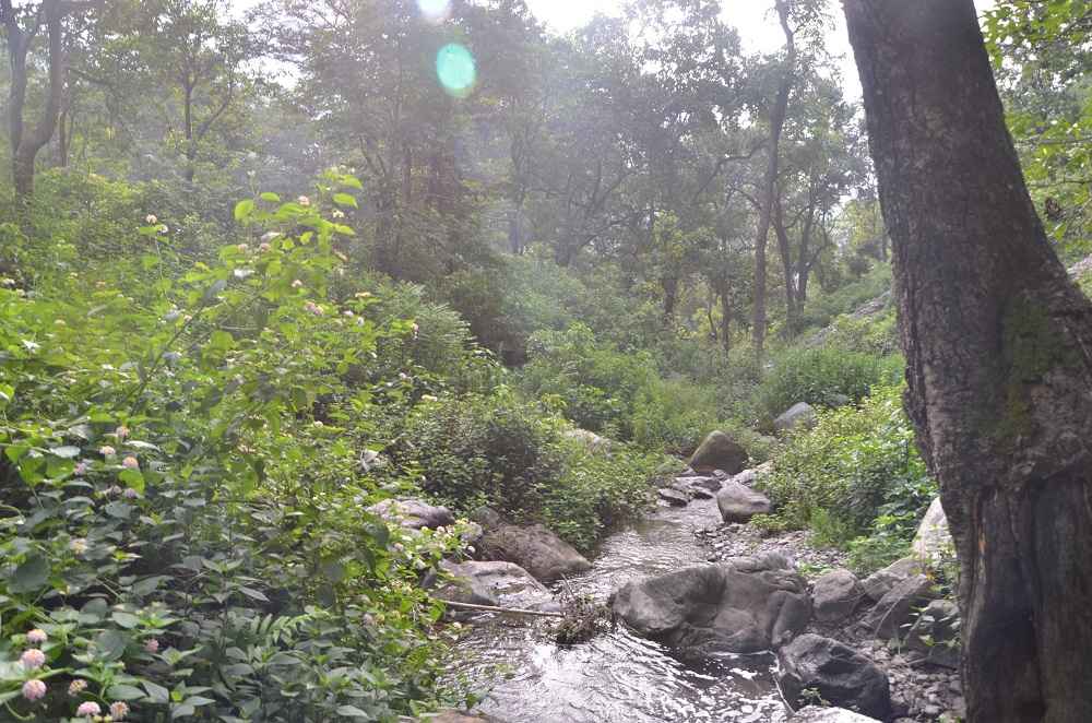 We are on the bank of the the super clean Himalayan water stream