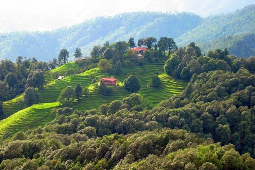 A picturesque Binsar Hill Station in Uttarakhand