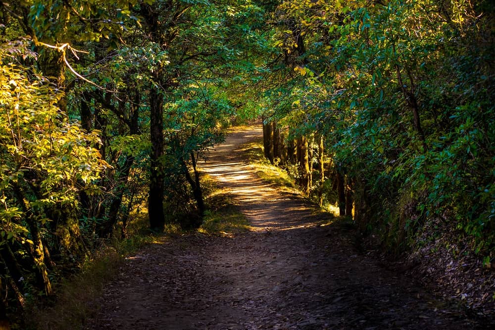 Binsar wildlife Sanctury