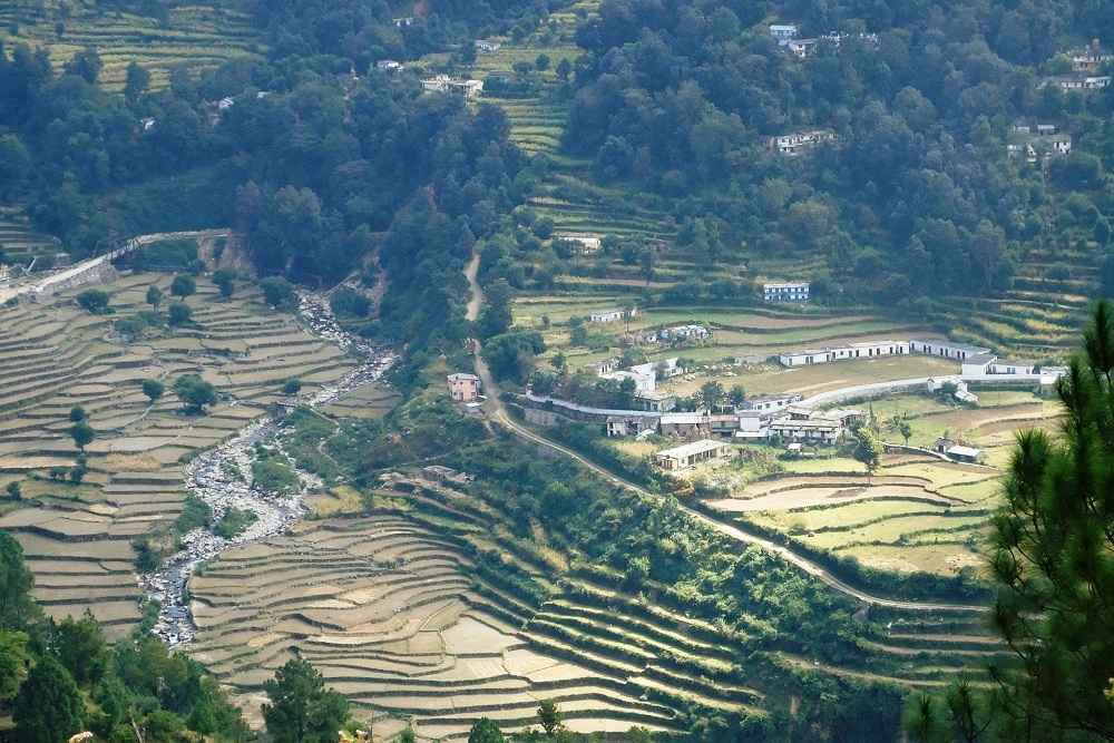 Terrace farming near Pandukeshwar village