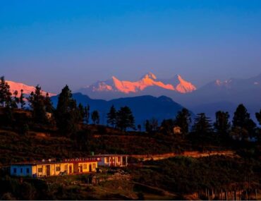 Sun Kissed Peaks at Chaukori