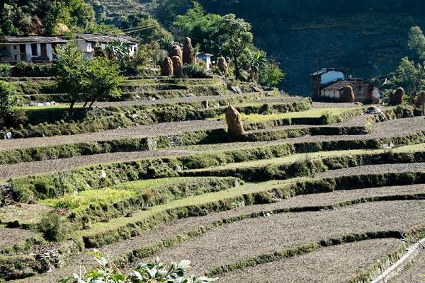 Kanker Khet Trek from Rishikesh to Rishikesh 5 Nights 6 Days
