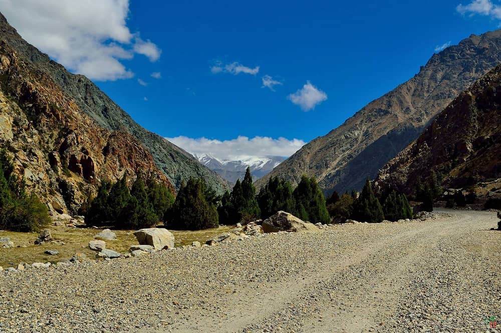 Nelong Valley Gangotri National Park