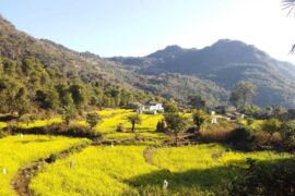 Barkot Village near Rishikesh