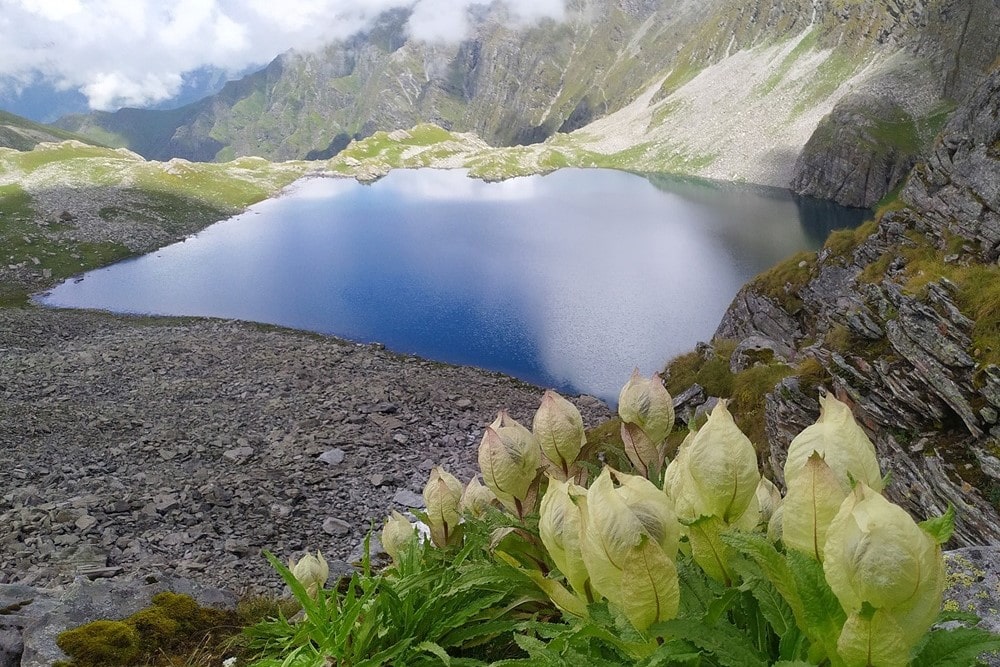 Tons Uttarakhand