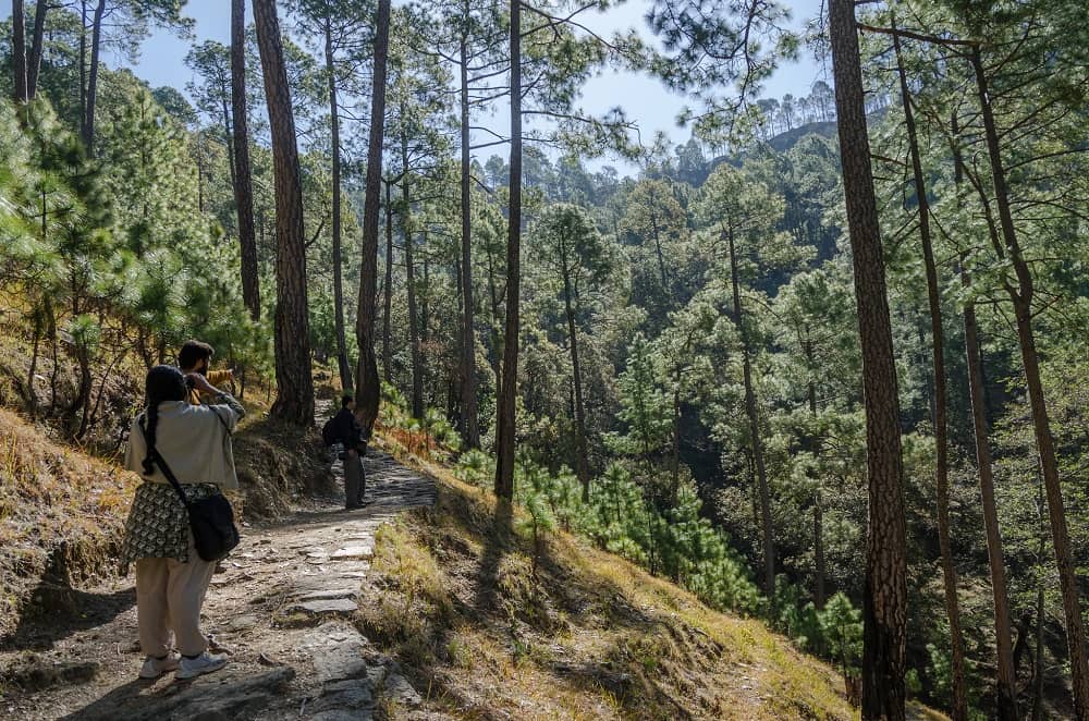 Pangot Village Birding Trail- Birding Lakes in Uttarakhand