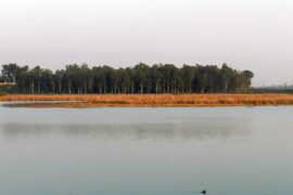 Bird Watching in Uttarakhand