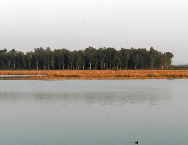 Bird Watching in Uttarakhand