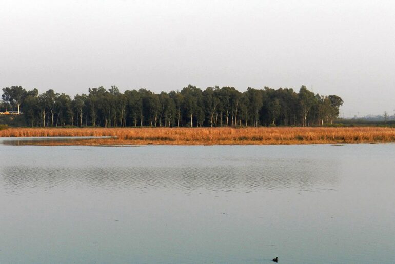 Bird Watching in Uttarakhand