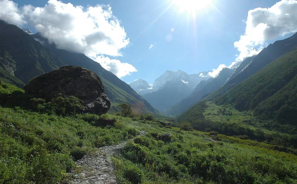 Valley of Flowers National Park Trail