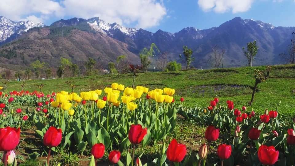 Parag Farm in Udham Singh Nagar