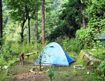 Campsite in Rishikesh