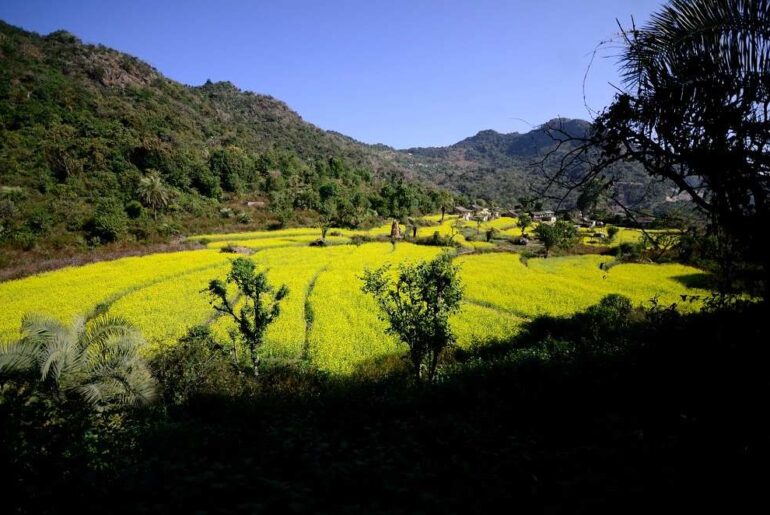 Barkot Village - Near Kunjapuri Temple