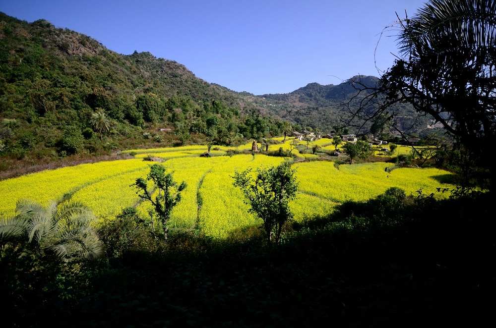 Barkot Village - Near Kunjapuri Temple