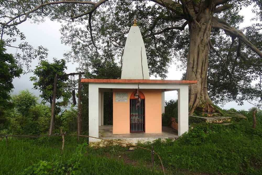 Shiva Temple & Pipal Tree - Best Place For Meditation in Rishikesh