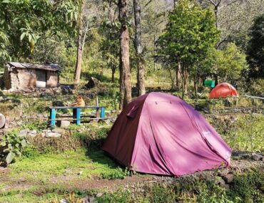 Ayurveda in Uttarakhand & Ayurveda in Rishikesh