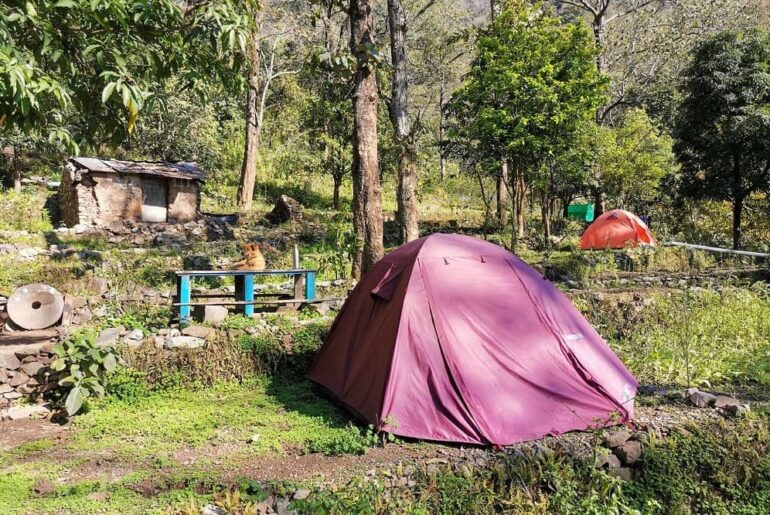Ayurveda in Uttarakhand & Ayurveda in Rishikesh