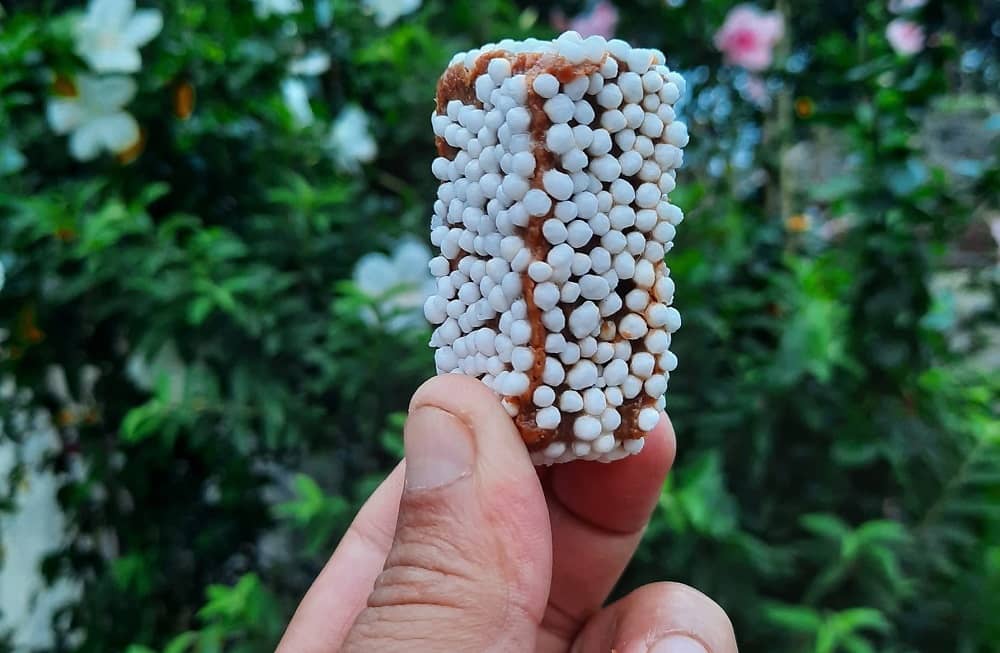 Bal Mithai