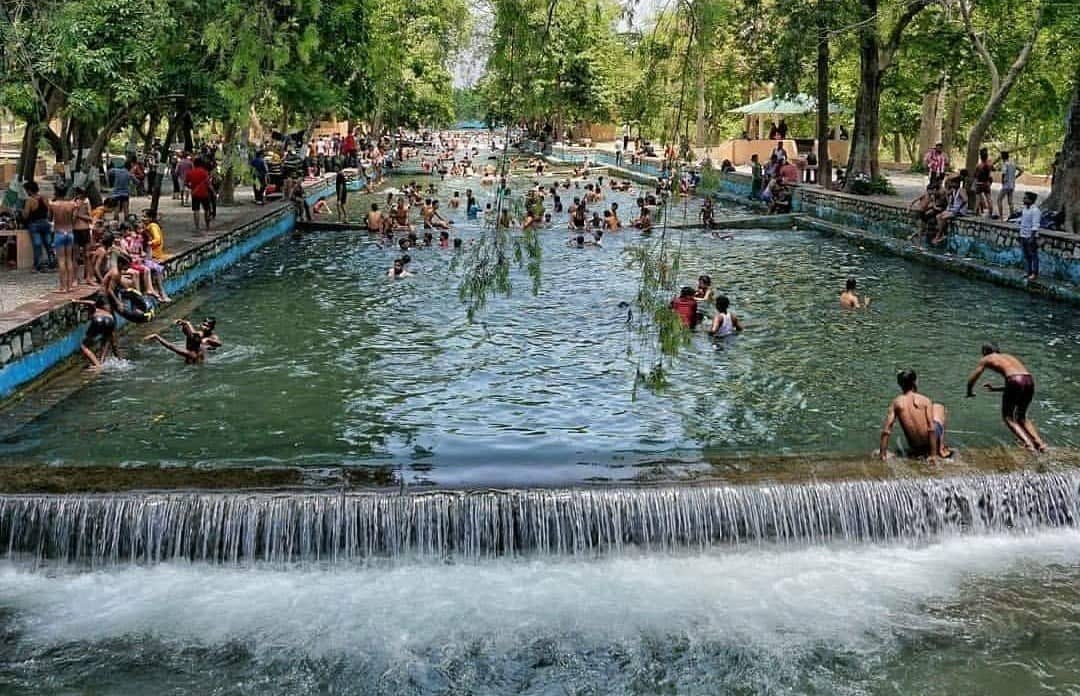 Lacchiwala Dehradun
