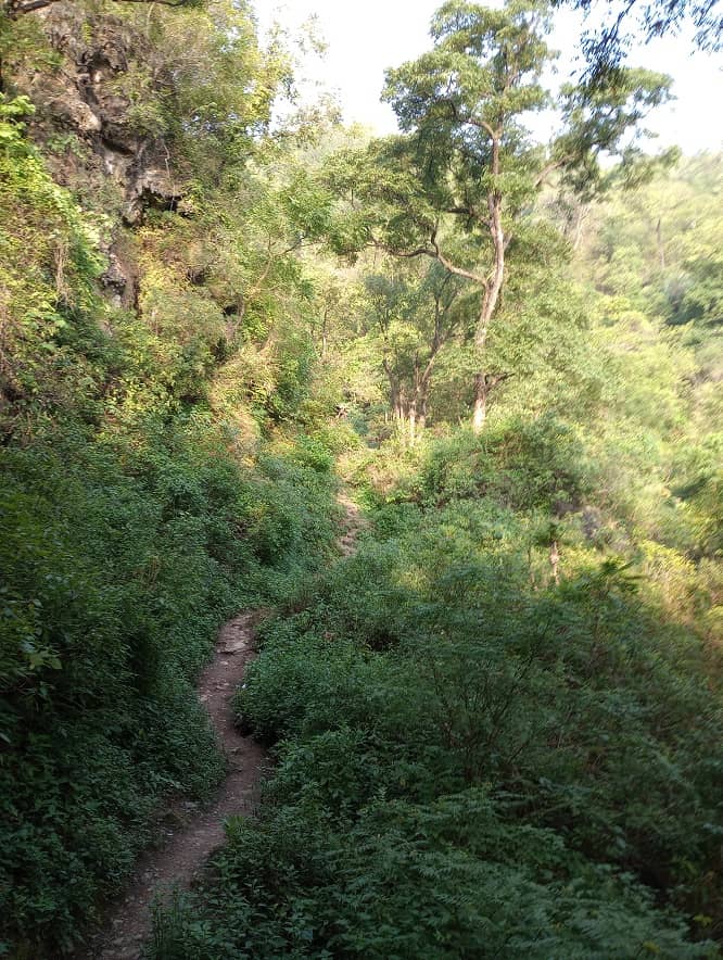 Trail for Waterfall