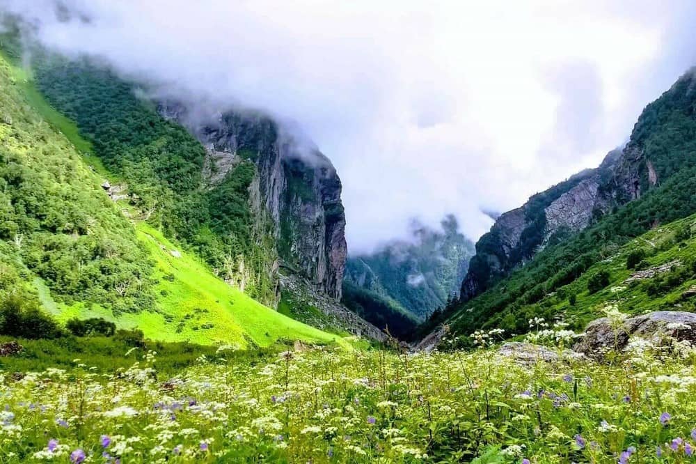 Valley of Flowers