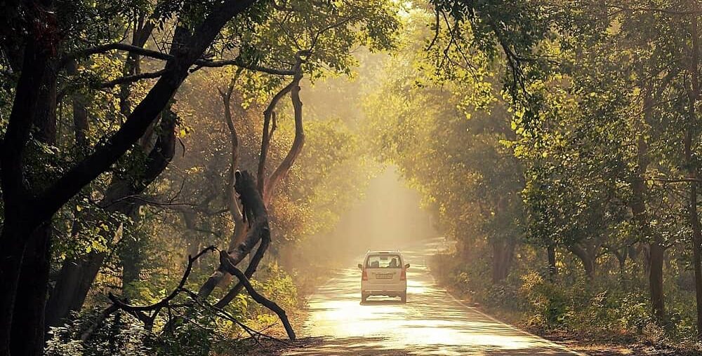 Drive into Nature- Chilla Road