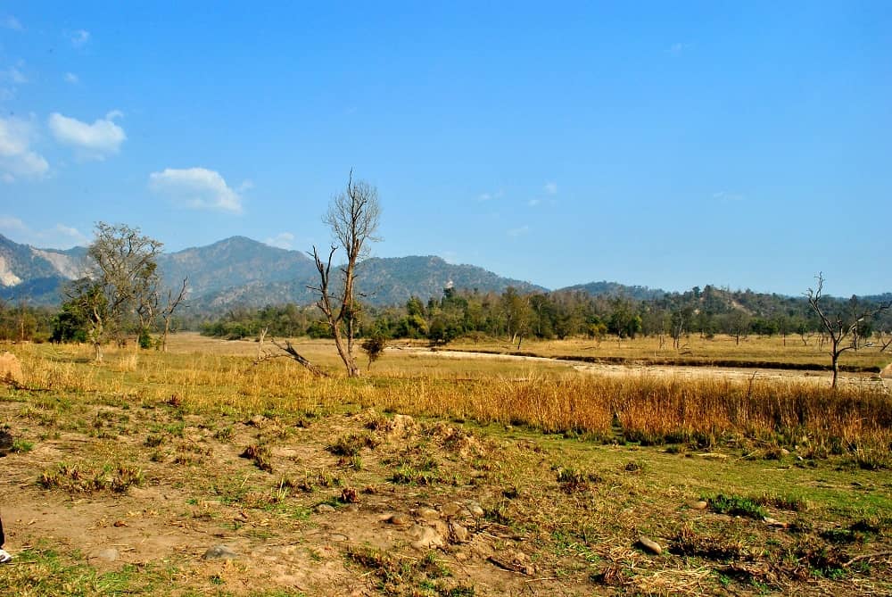 Chilla Range Rishikesh
