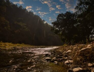 Mohan Chatti Rishikesh