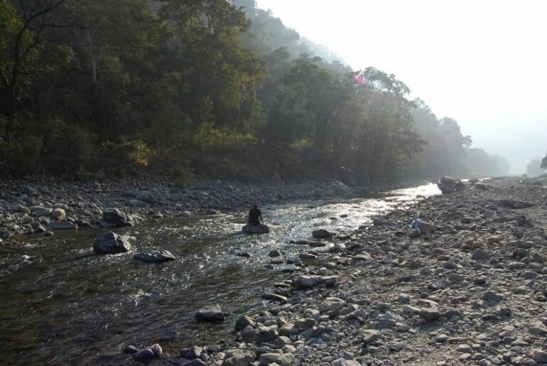 Ratta Pani Rishikesh