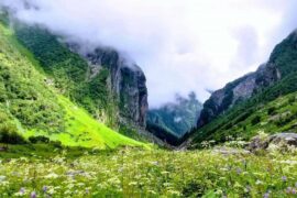 Valley of Flowers India