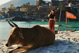 Best Time To Visit Rishikesh