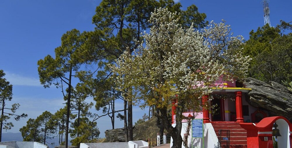 Kasar Devi Uttarakhand
