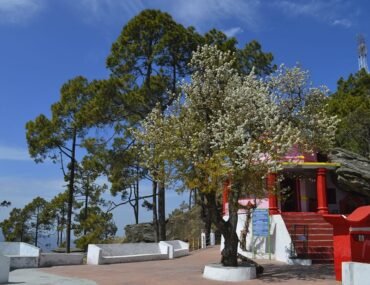Kasar Devi Uttarakhand