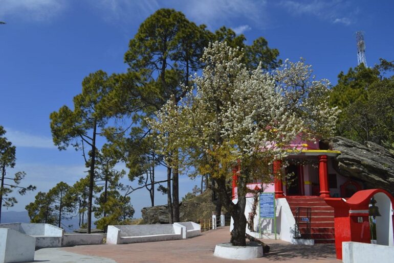 Kasar Devi Uttarakhand