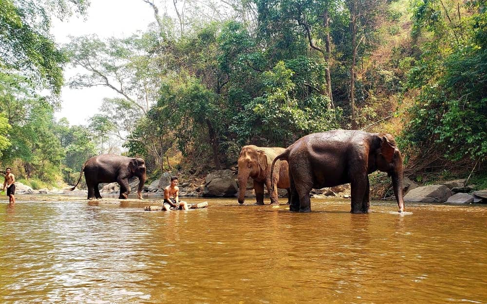 Chiang Mai Thailand