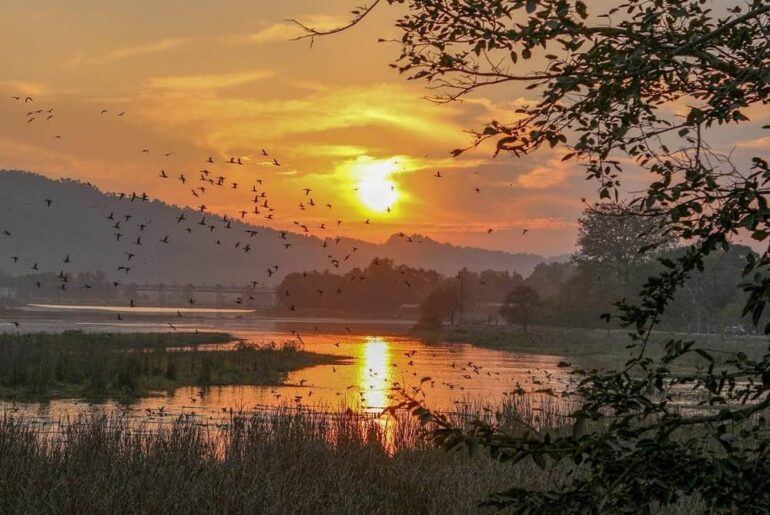 Kalsi Dehradun