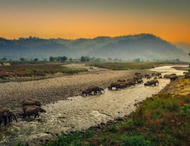 National Parks in Uttarakhand