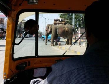 How to travel solo in India