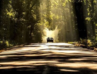 Taxi Service at Dehradun Airport