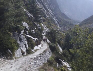 Gomukh Tapovan Trek