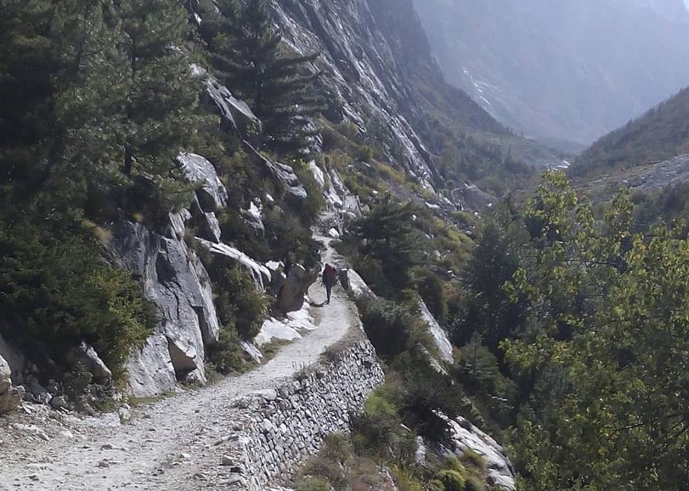 Gomukh Tapovan Trek