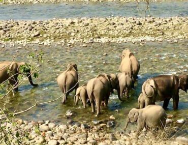 Haridwar to Jim Corbett