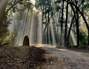 Jim Corbett to Rishikesh