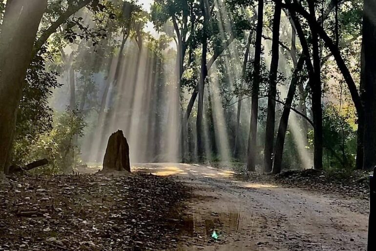 Rishikesh to Jim Corbett