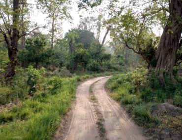 Rishikesh to Rajaji National Park