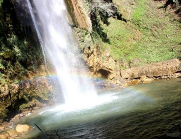 Tiger Fall