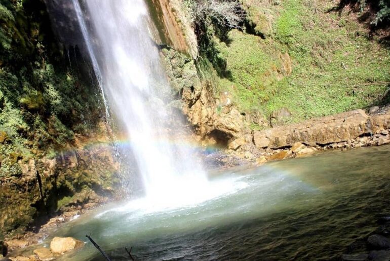 Tiger Fall