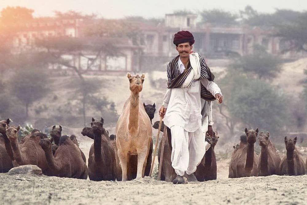 Pushkar India 