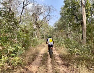 Cycling Safari at Pench Tiger Reserve, India